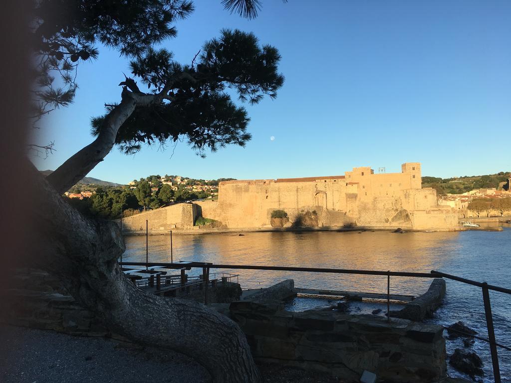 Un Balcon Sur La Mer Port Vendres Εξωτερικό φωτογραφία
