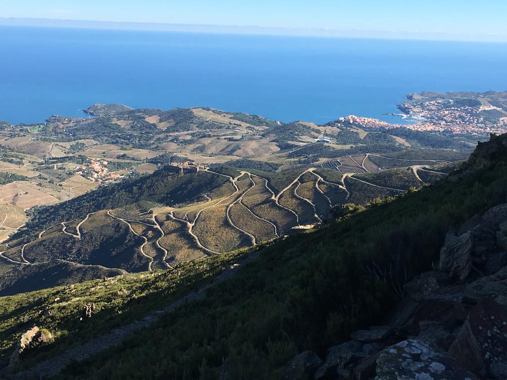 Un Balcon Sur La Mer Port Vendres Εξωτερικό φωτογραφία